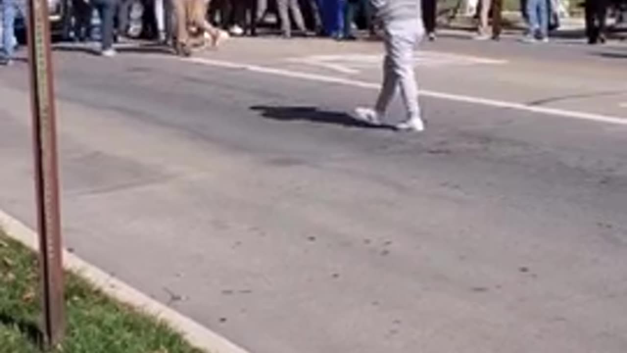 Car occupants forcibly arrested after ramming DHS agents