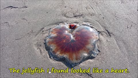 Alaska Pt. 14