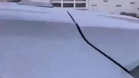 Illegal alien in Columbia Heights walks out to her car and ICE detains her on the spot.