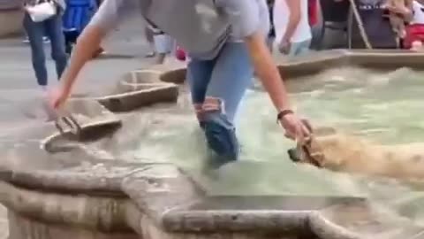 😂🐶 This Dog's Goodbye is EPIC! | FunFM