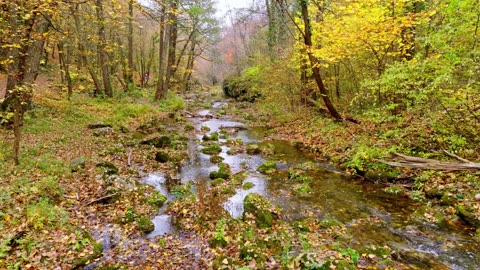 "He who has a why to live can bear almost any how."