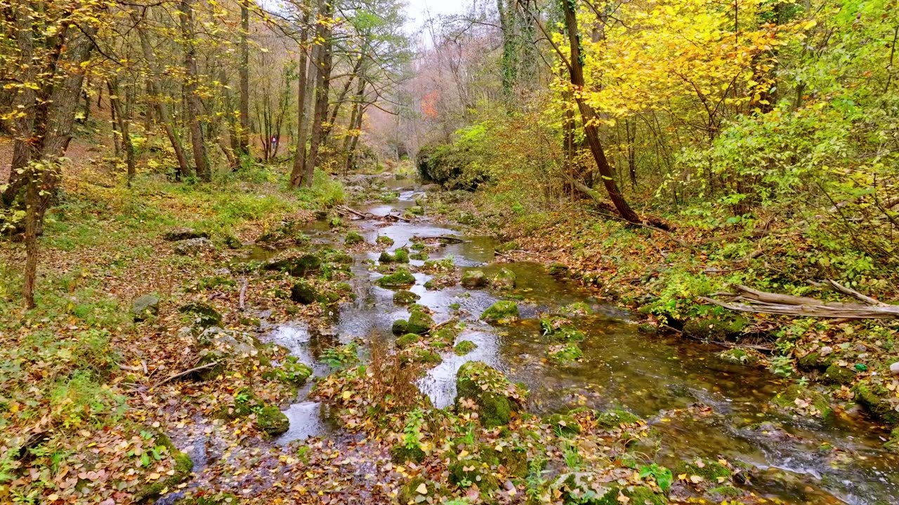 "He who has a why to live can bear almost any how."