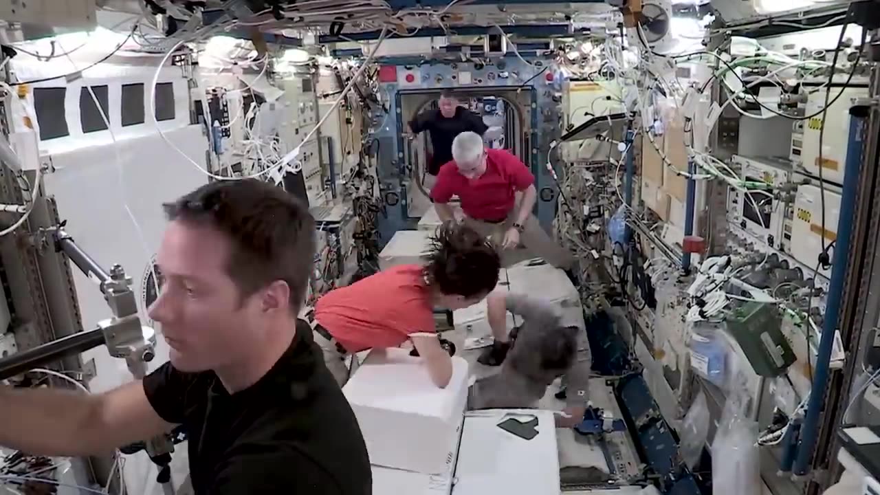 How Do We Do Research in Zero Gravity_ We Asked a NASA Expert