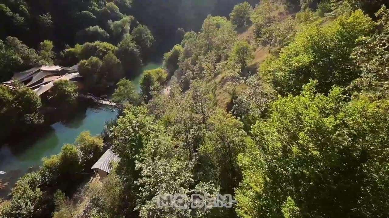 THE SEED AFTERMOVIE ¦ MODEM FESTIVAL 2024