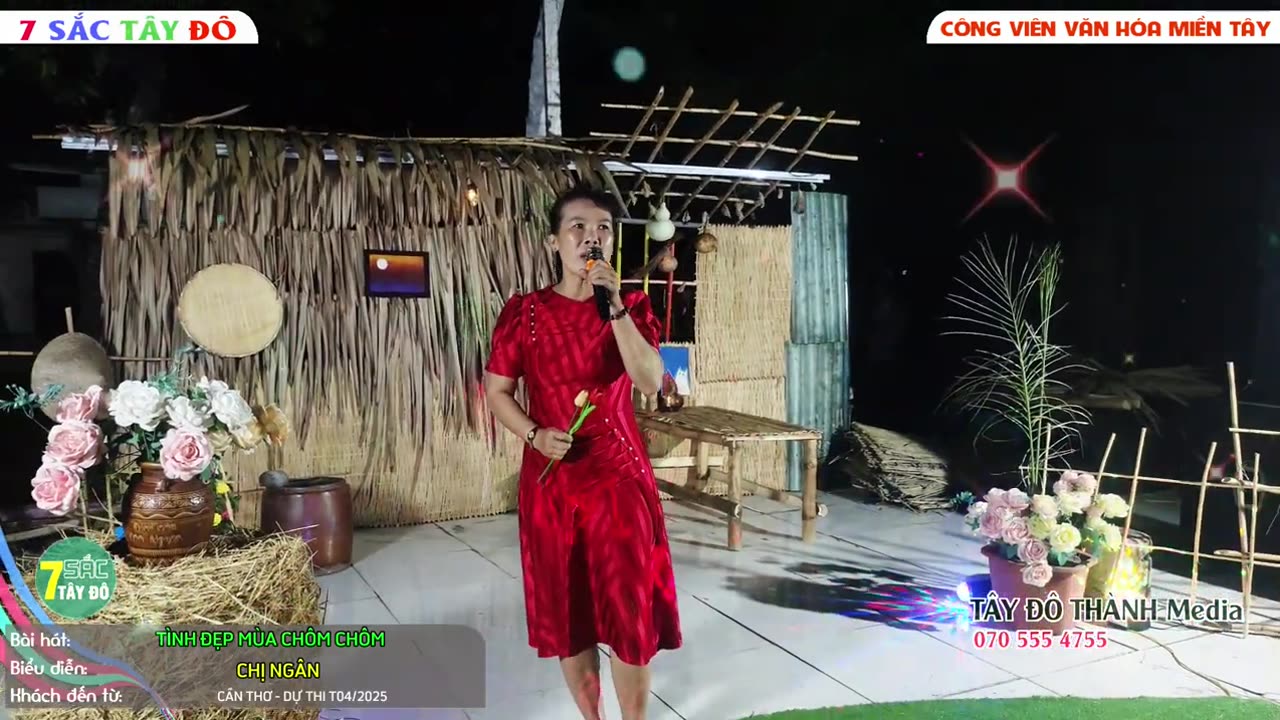TÌNH ĐẸP MÙA CHÔM CHÔM- CHỊ NGÂN _ 7 Sắc Tây Đô