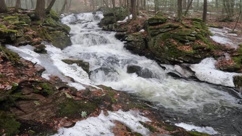 Cascades