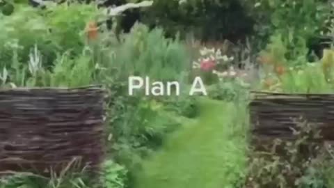 Plan A vs Plan B