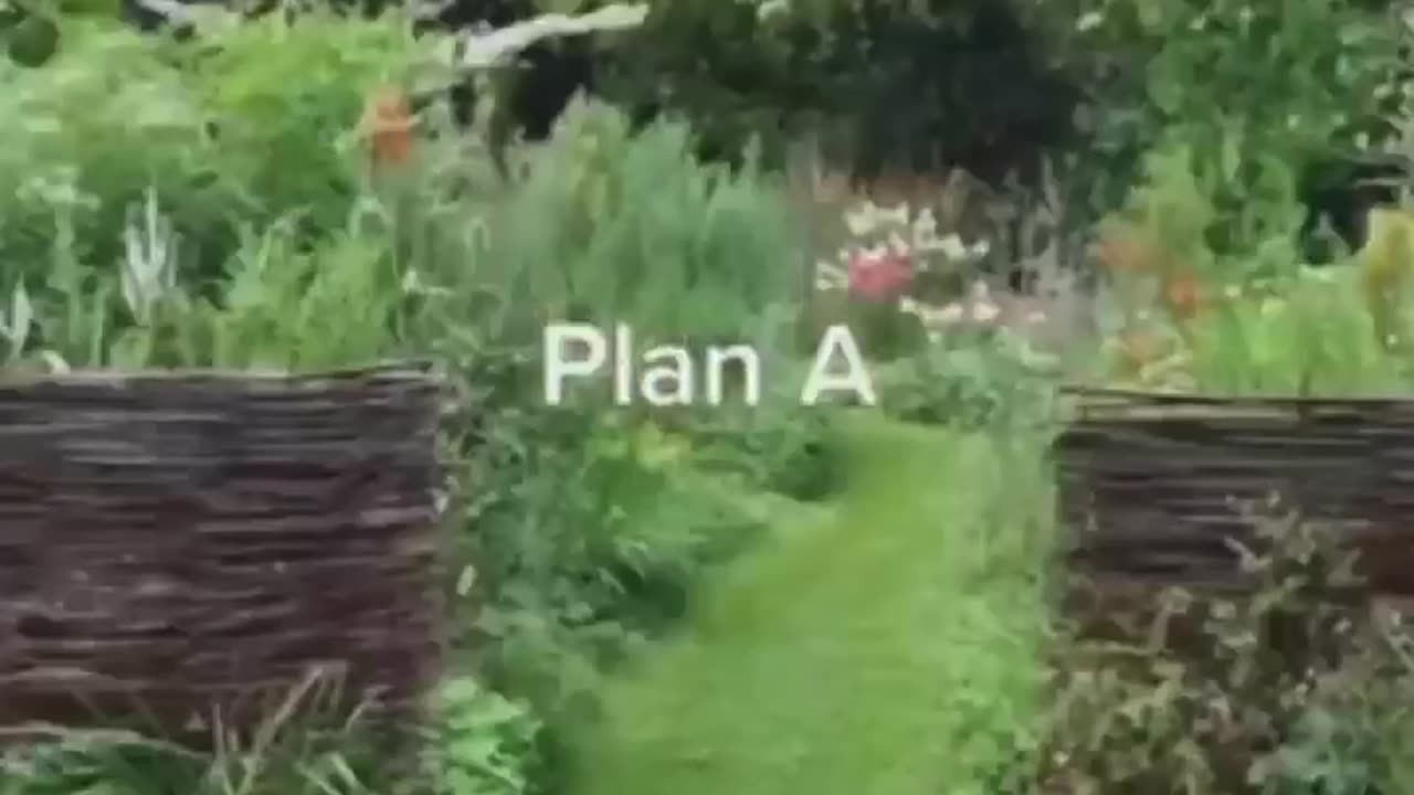 Plan A vs Plan B