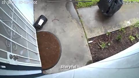 Snake Is That You? - Sneaky Thief uses clever disguise