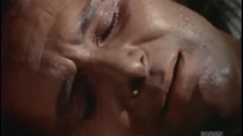 Bonanza S13E18 Frenzy