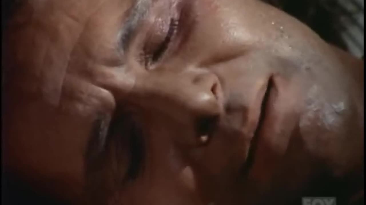 Bonanza S13E18 Frenzy