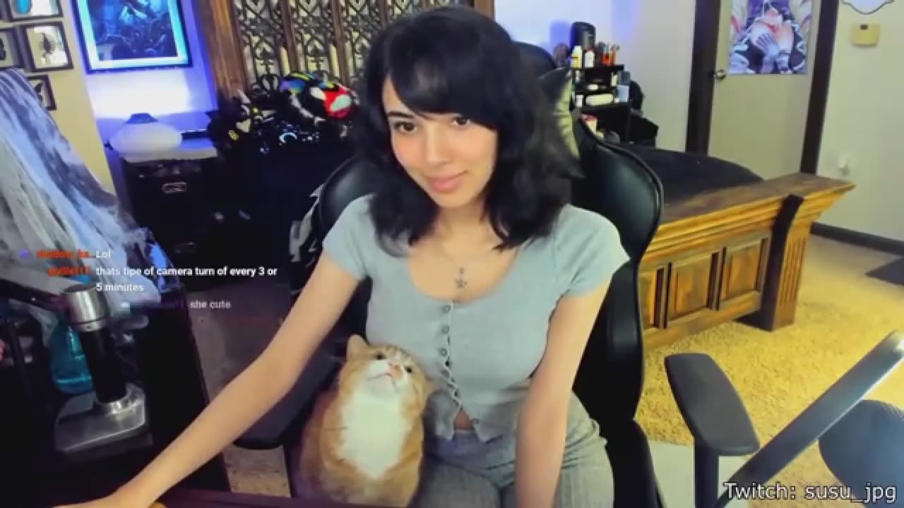 Cat corner