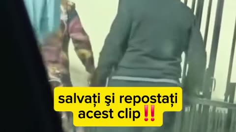 DIS--- - 04 mai 2025 - ora 15:20