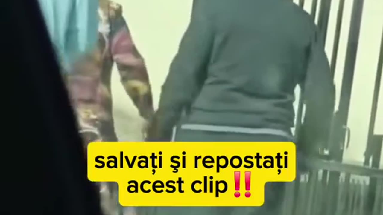DIS--- - 04 mai 2025 - ora 15:20