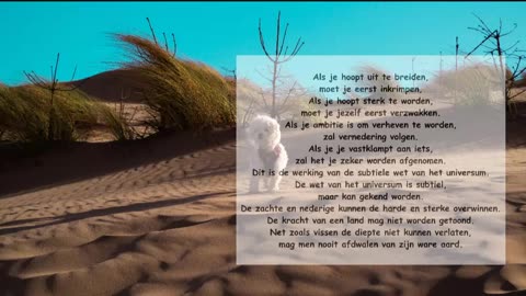 Als je hoopt uit te breiden