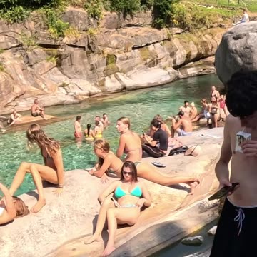 Bridge - Swiss Paradise