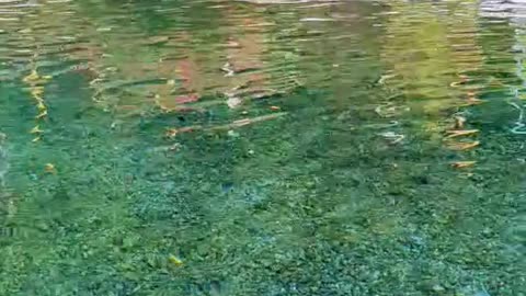 Hot Spring 2