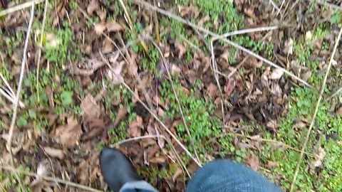 Taking a Walk in Women's Cald Length Boots - 1/19/2017