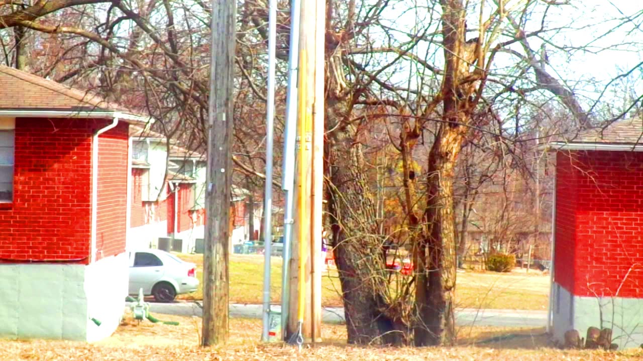 MICKMOCAM 25 _ _ . [MY SUBCONCIOUS-UNCONCIOUS-CONCIOUS-MUDDLED MINDSETS!] From 2-20-2023