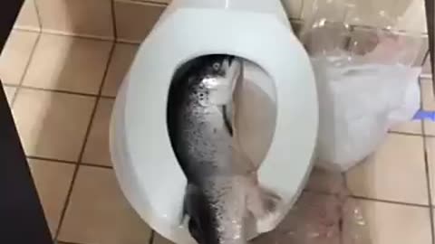 When you walk into the school bathroom #shorts