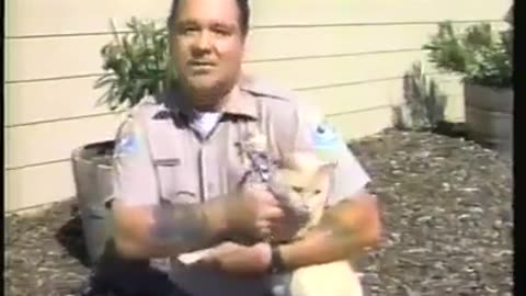 Pinky the cat
