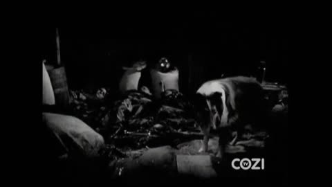 Lassie - Episode 181 - 'Camp Out