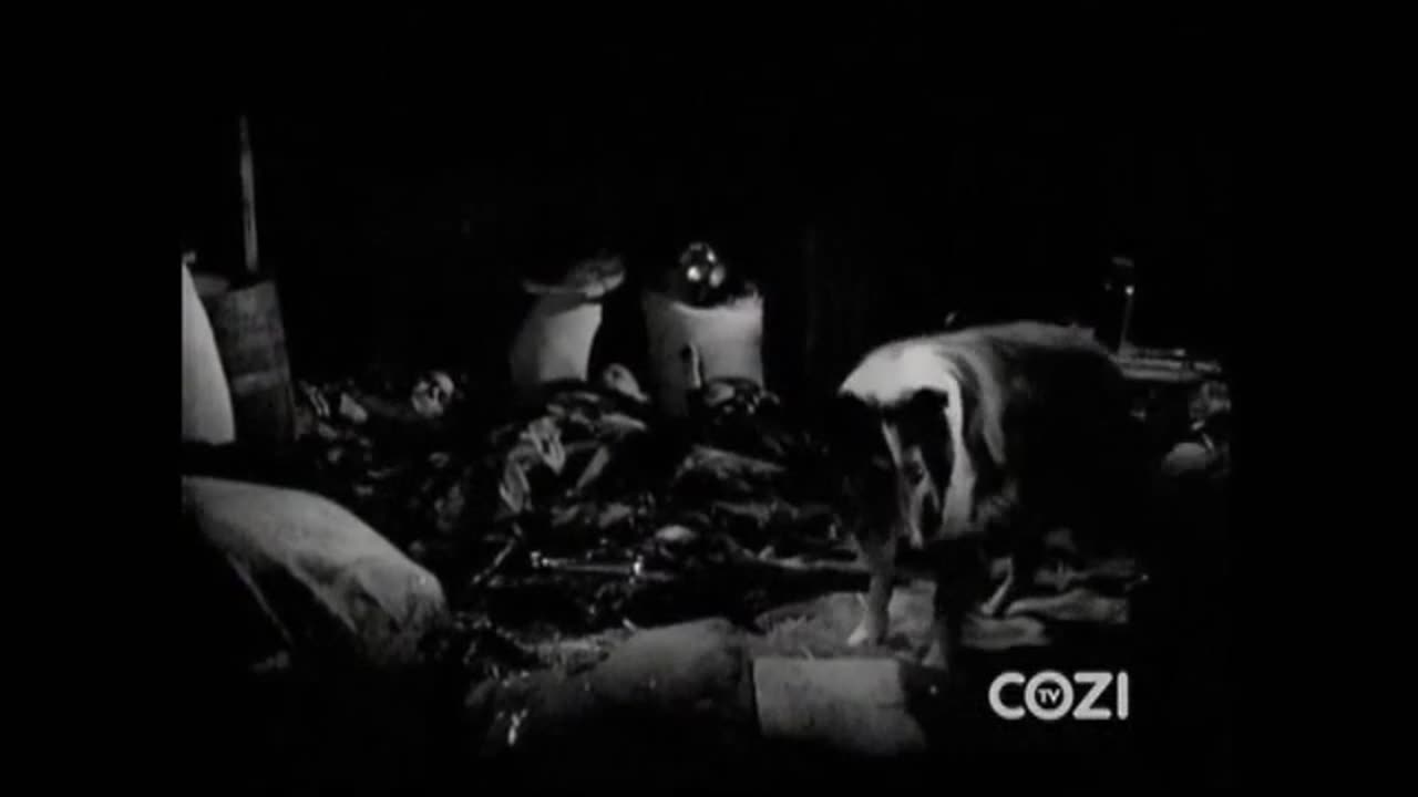 Lassie - Episode 181 - 'Camp Out