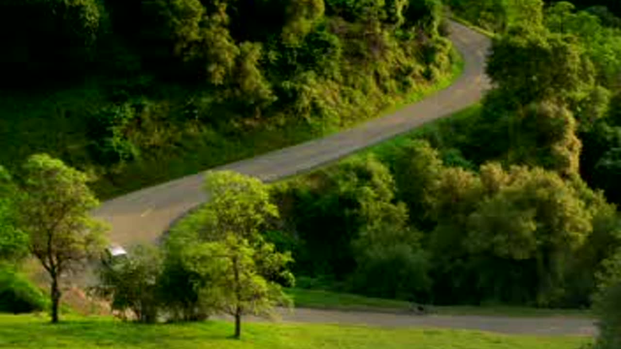 Time for something totally different: Morning Coffee