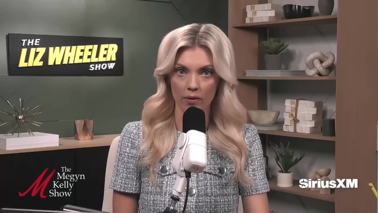 'People Feel Stung': Liz Wheeler Tells Megyn Kelly What Motivates Pam Bondi