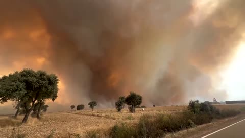 Firefighters battle spreading wildfire in Spain's Zamora region 08/13 | Fires are intentional for the Climate Lockdown