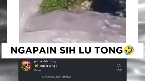 FUNNY MEMES VIDEOS