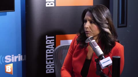 Tulsi Gabbard: ‘Your Character Will Be Smeared’ If You Question ‘Foreign Policy Establishment Elite’