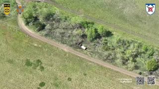 💥🇺🇦 Ukraine Russia War | Ukrainian "Swarm" Unit Destroys Russian Positions in Zaporizhzhia | RCF