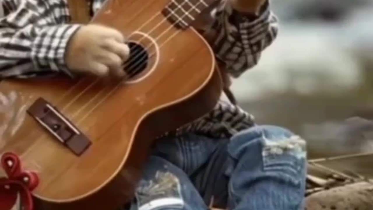 Cat Rocking Out on Guitar