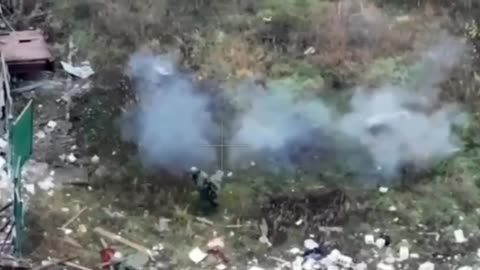 Russian channels are enjoying a video where pig blows itself up on a landmine while
