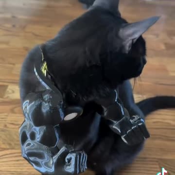 I JUST HAD 2 😃🤣🤣🤣