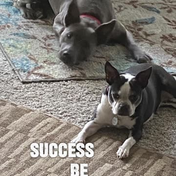 Those aren’t friends