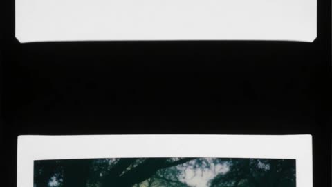 Justice Found in DNA - Babes in the Wood murders (Part 1)