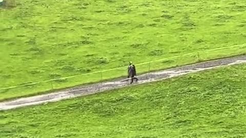 😂🚀 They're On a Mission! You Won't Believe What Happens Next | FunFM