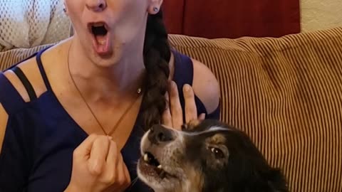 Let's Sing a Duet