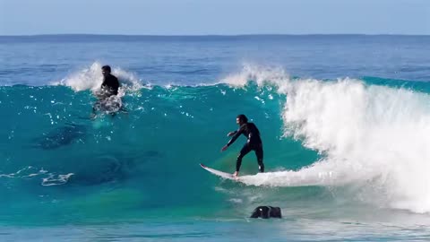 Surfing With Dolphin
