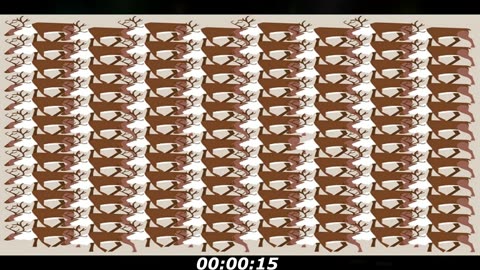 Deer puzzle: Which deer have no horns? Simply question, tricky answer