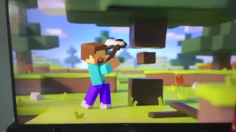 Minecraft video part 11