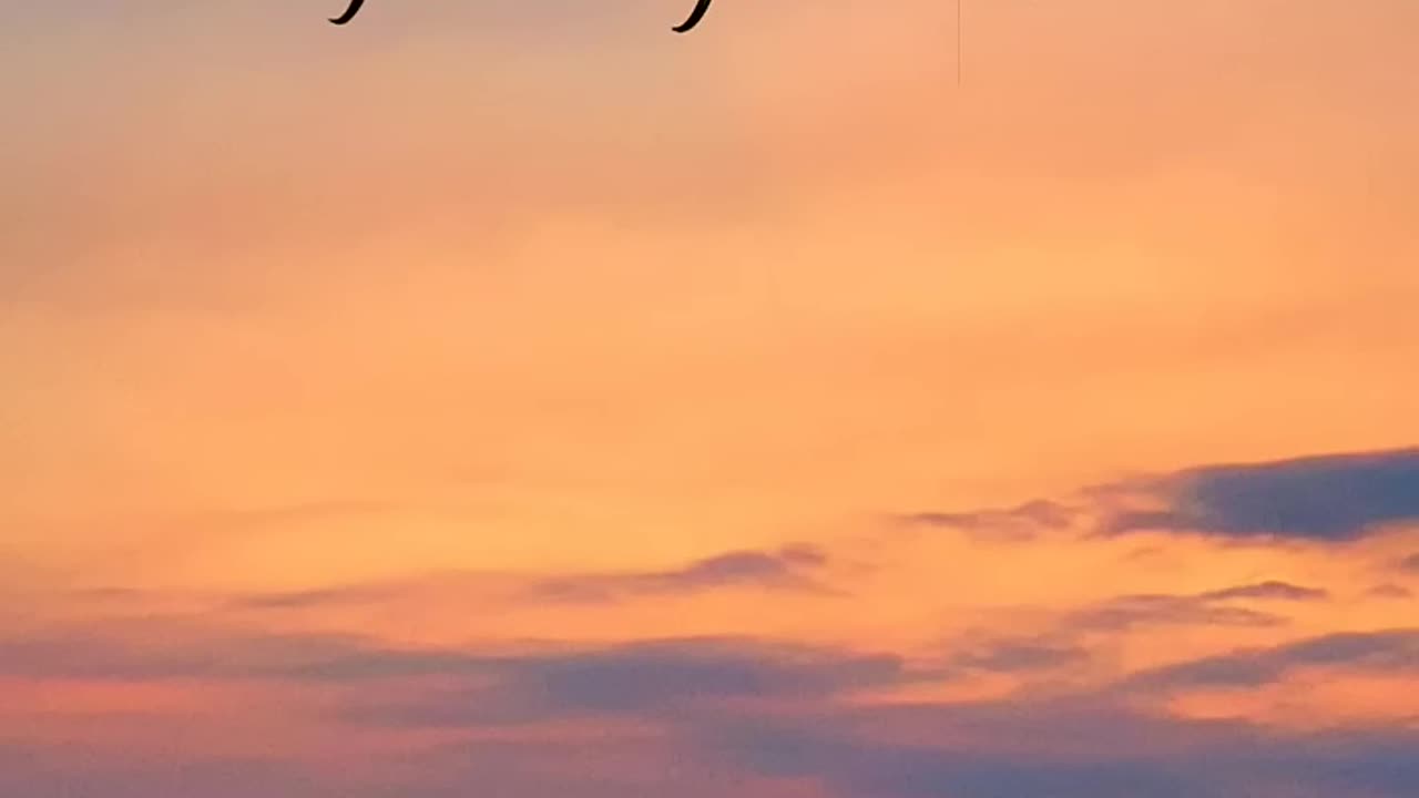 quotes about life ✨Whatsapp Status । English Status । Best Inspirational
