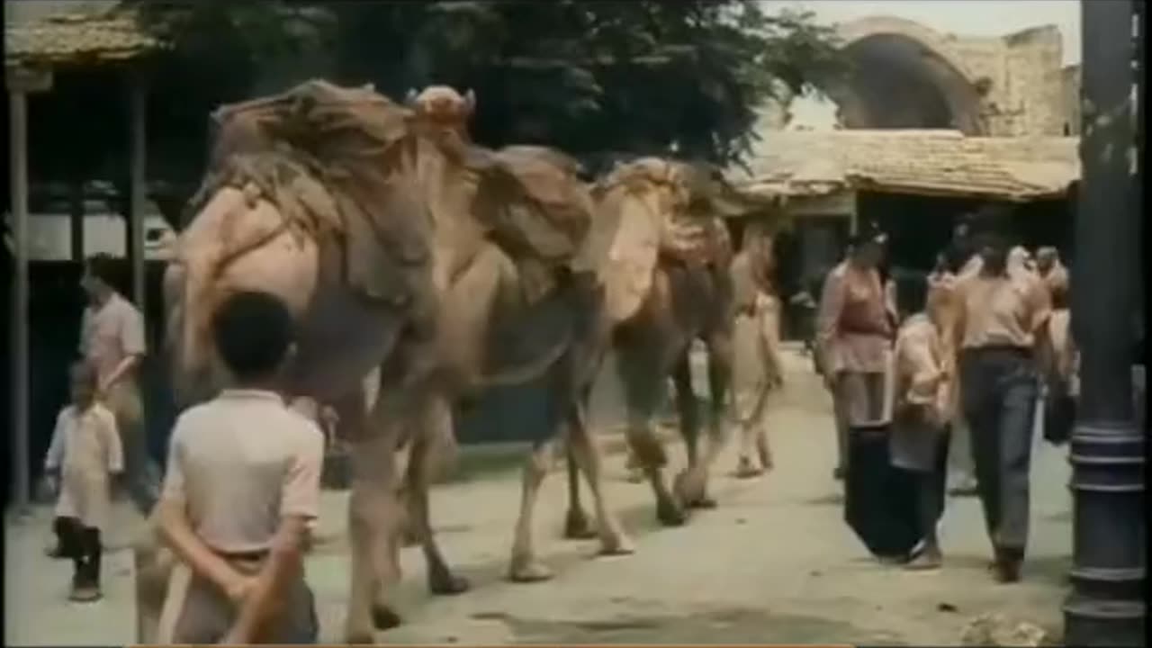Palestine before 1946