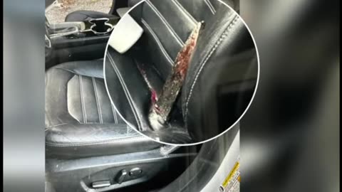 Debris Shoots Through Car Floor, Pierces Woman Driving on LA Freeway
