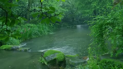 The beautiful little river is raining