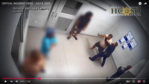 Breakdown Harris County TX SO in custody death of Alexis Jovany Cardenas