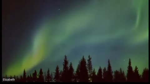 The Body Electric by Robert O. Becker [AUDIOBOOK] (Part 10/10)