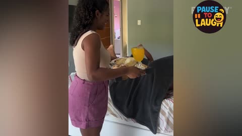Funniest Videos 2025 😂 | You’ll Be Laughing Non-Stop!”